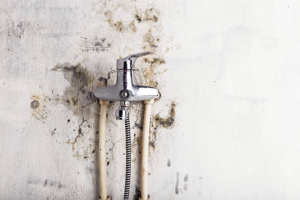Reliable Kilmarnock, VA Mold Removal Solutions