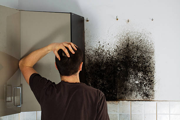 Best Mold Remediation  in Kilmarnock, VA